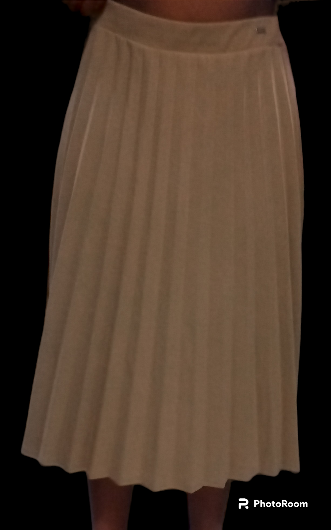 Image of Camel Skirt