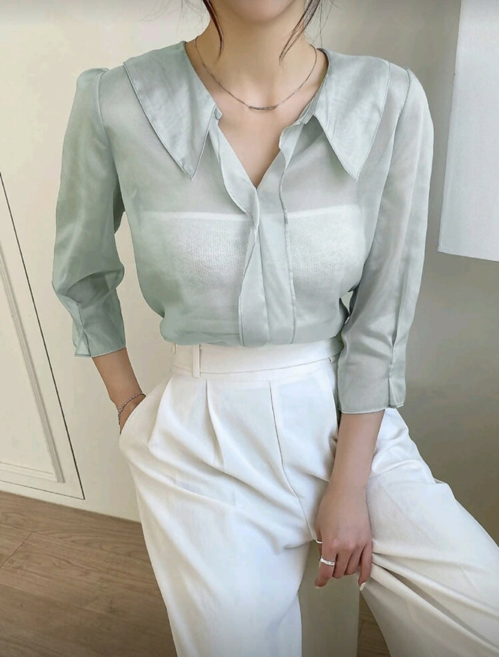 Sheer Shirt Without Tube Top