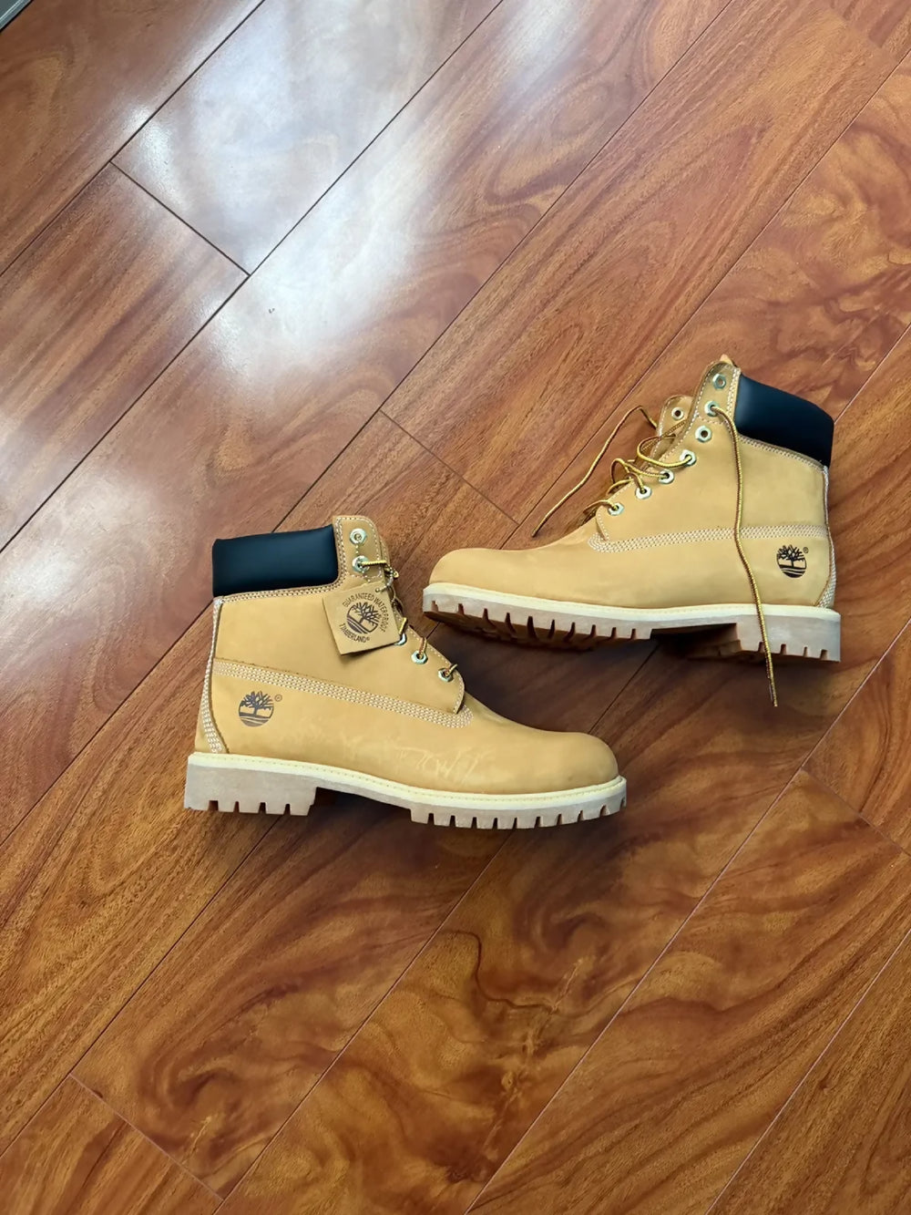 O41OZ5VBkm
