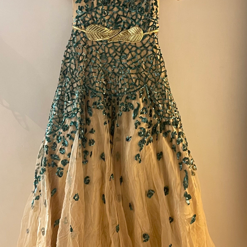Image of Gold Belt Evening Gown