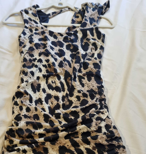 Image of Leopard Print Mini Dress