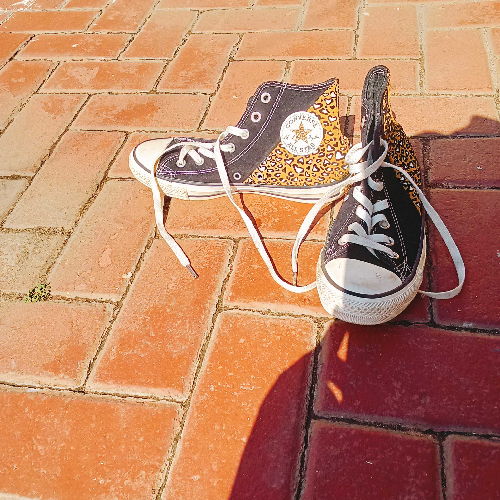 Image of Leopard Print All Star Converse