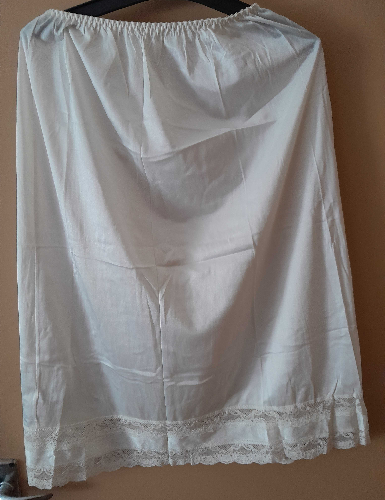 Image of Slipskirt Petticoat