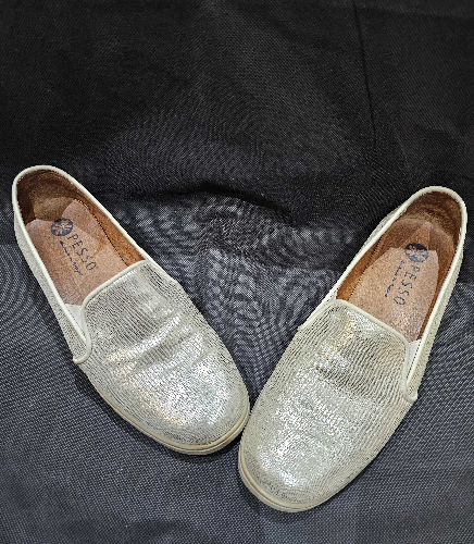 Image of Pesso Silver Shoe